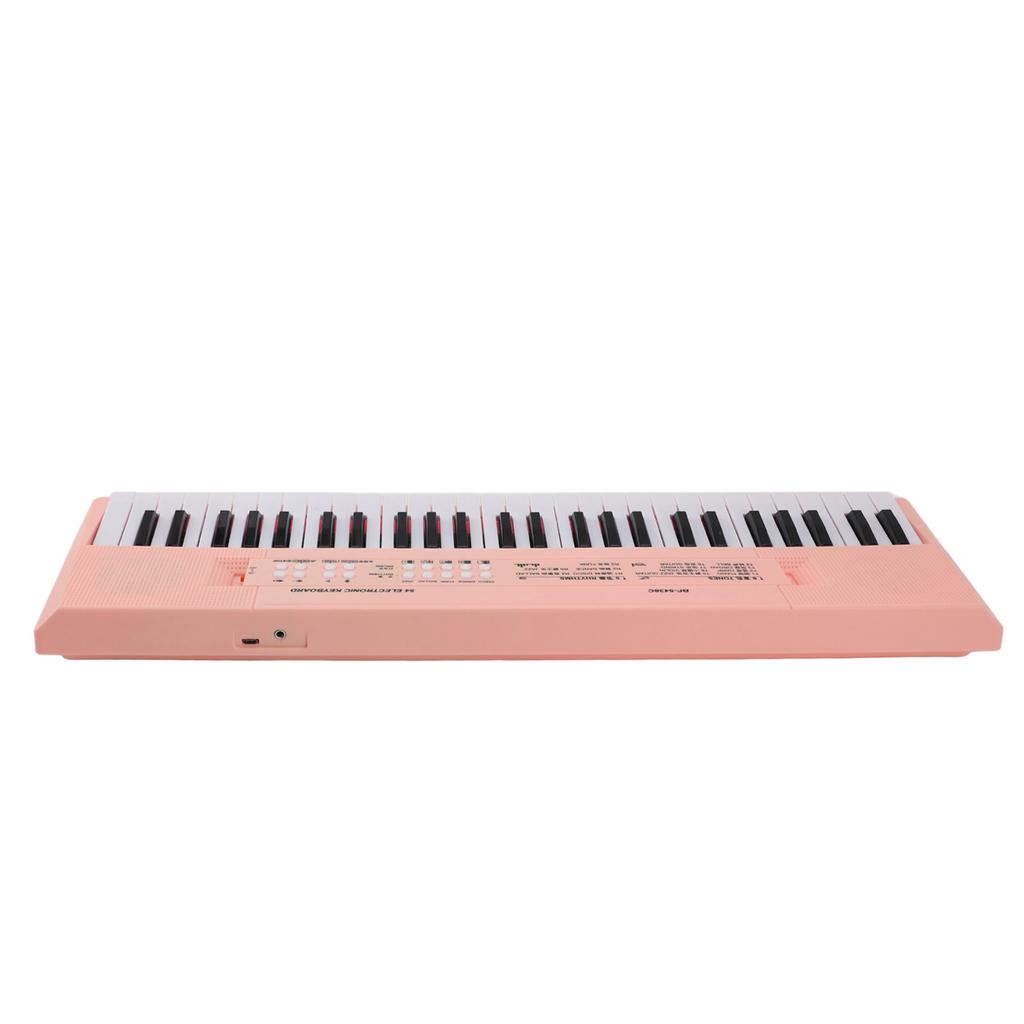 54 Key Keyboard Piano Smoothly Plastic Keyboard Piano Portable Dual Power Supply System Electric Piano Keyboard with Microphone for Kids