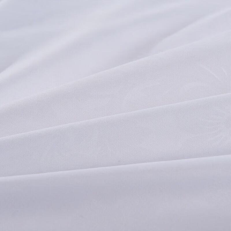 FUANNA Silky Smooth Mulberry Silk Summer Quilt