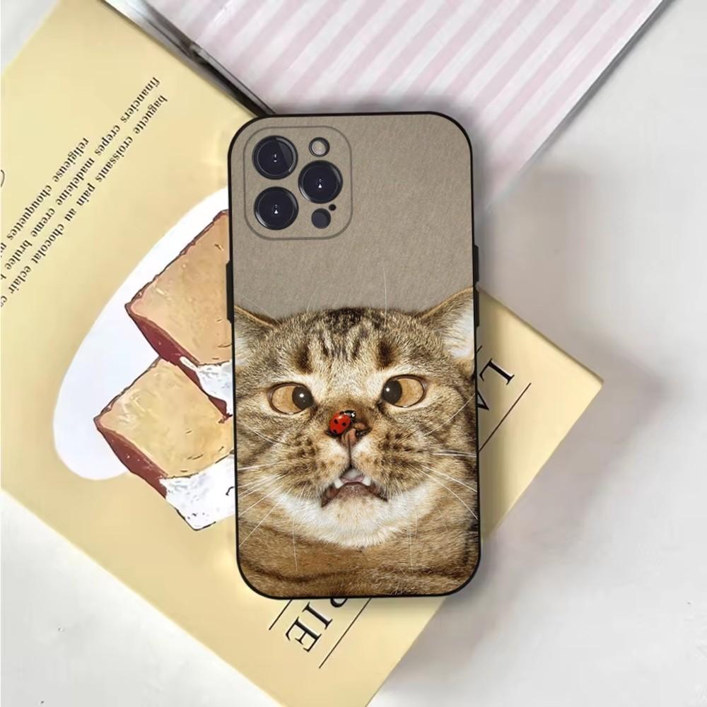 Pet Cat Funny memes Phone Case For iPhone 16,15,14,13,12,11,Pro,X,XS,Max,XR,Plus,Mini Soft Black Cover
