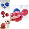Versatile Pet Toys Food Dispenser Play Ball With Rotate Switch For Puppy Dog