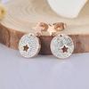 Lokaer  Crystal Stud Earrings For Women Gold Plated Stainless Steel Hollow Star Earrings Jewelry Gifts  E18019