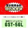 Yupiteru Golf Swing Trainer Head Speed Ball Speed Estimated Distance Meet Rate Measurement Device GST-5 GL + + +