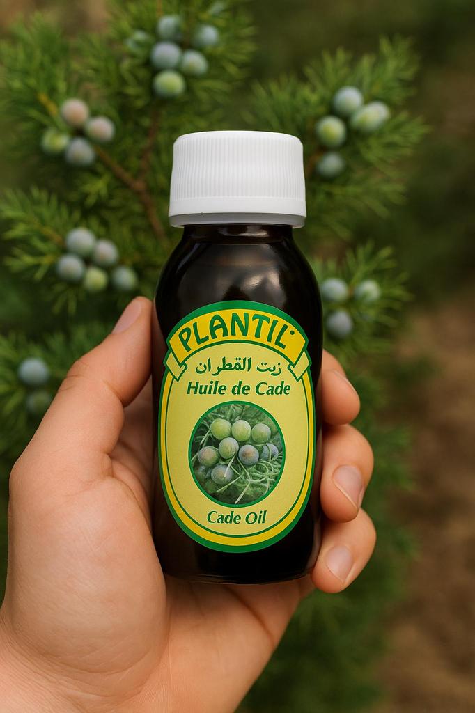 Pure Cade Oil 60ml – Natural Scalp & Skin Purifier, Anti-Dandruff, Hair Growth Booster