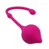 Kegel Vagina & Anal Trainer Ball Unisex Silicone Body Massager Toys Adult Product