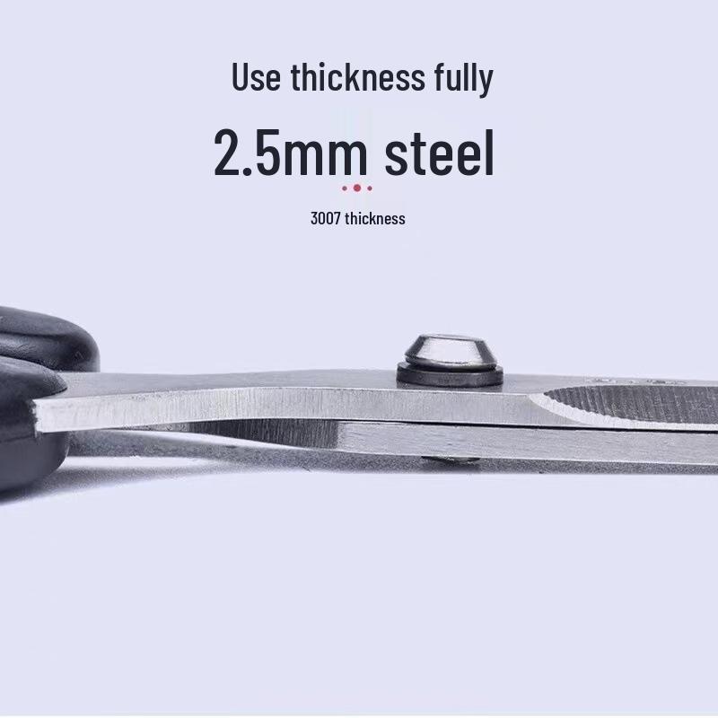 Wang Wuquan Stainless Steel Pointed Scissors for Office, Art, and Students