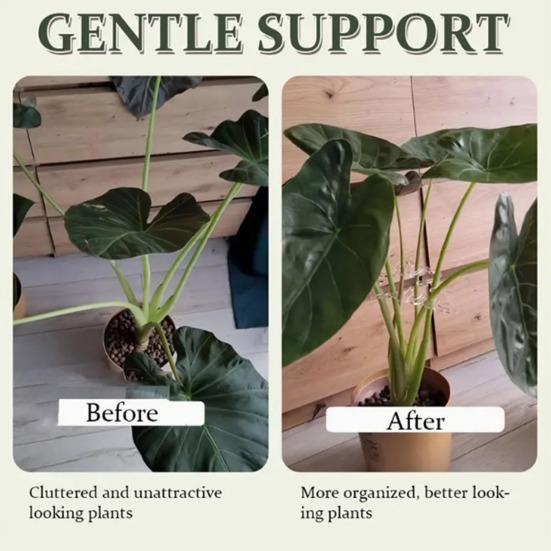 2 Pcs Plant Stem Holder Reusable Clear Plant Stem Support Easy Application Plant Support