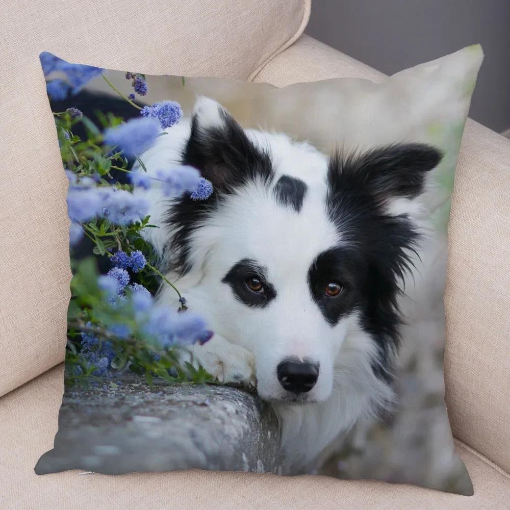 Cute Pet Animal  Cushion Cover Scotland Border Collie Pillowcase for Sofa Car Decor Dog Printed Soft Plush Pillow Case