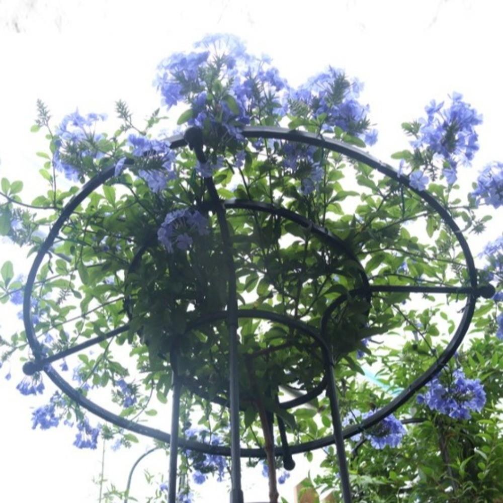Rustproof Plant Frame DIY Assemble Climbing Plant Support  Vertical Garden Patio Balcony
