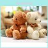 Charming Rose Plush Teddy Bear With Bowknot Gift For Girls Multiple Sizes Available