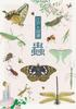 Edo Atlas: Insects