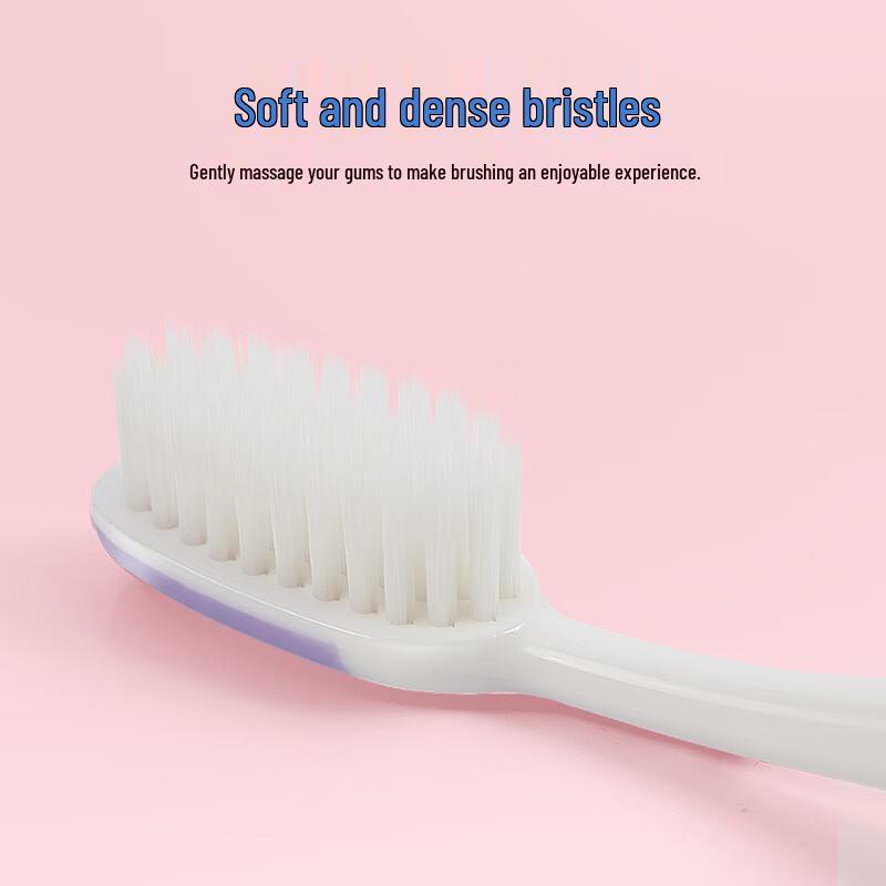 Frog Story Series Adult Soft Bristle Toothbrush 12-Pack