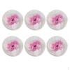 6pcs Tie On Hiking Camping Pinic Non-radiative Gas Lantern Mantles