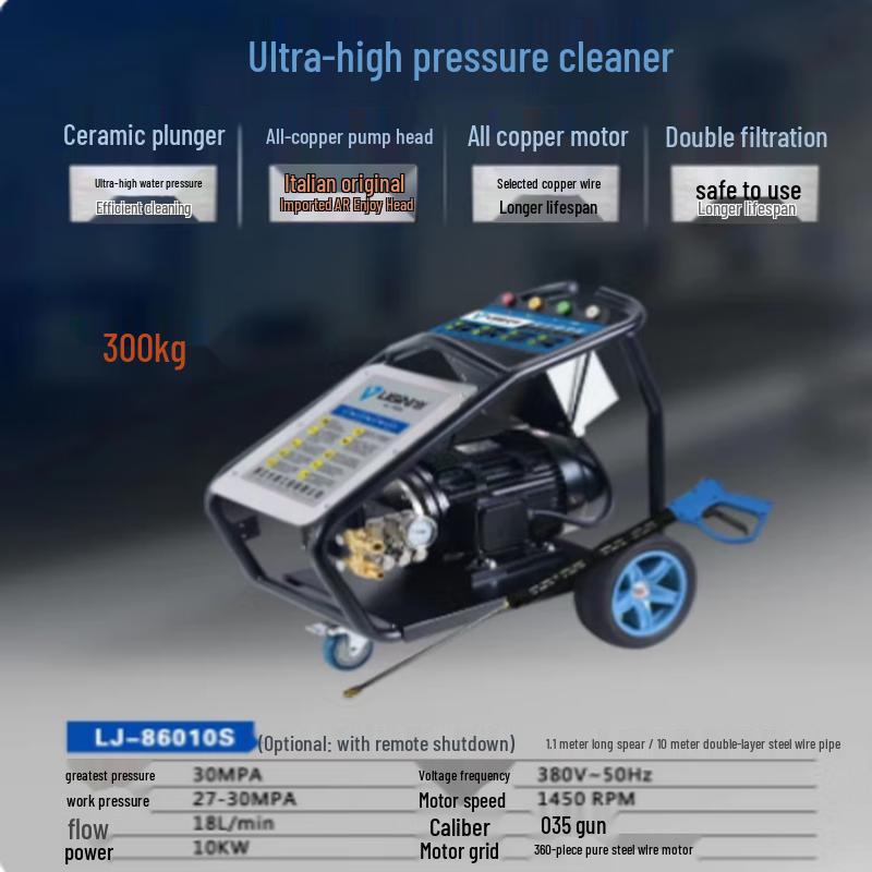 Lijian Home High-Pressure Car Washer CN plug (adapter included)