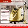 High-Power German Quality Vertical Garment Steamer for Commercial Use