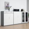 Lockable Metal Filing Cabinet with Glass Door