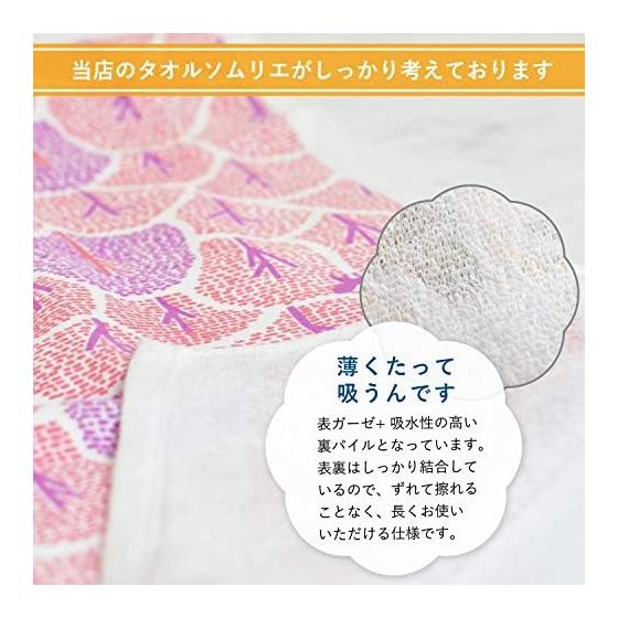 Transparen Japanese Gauze Towel Face Towel Set of 5 Assorted Palette Gauze Towels, One Side Pile, One Side Gauze, Senshu Towel, Quick Dry, Thin,