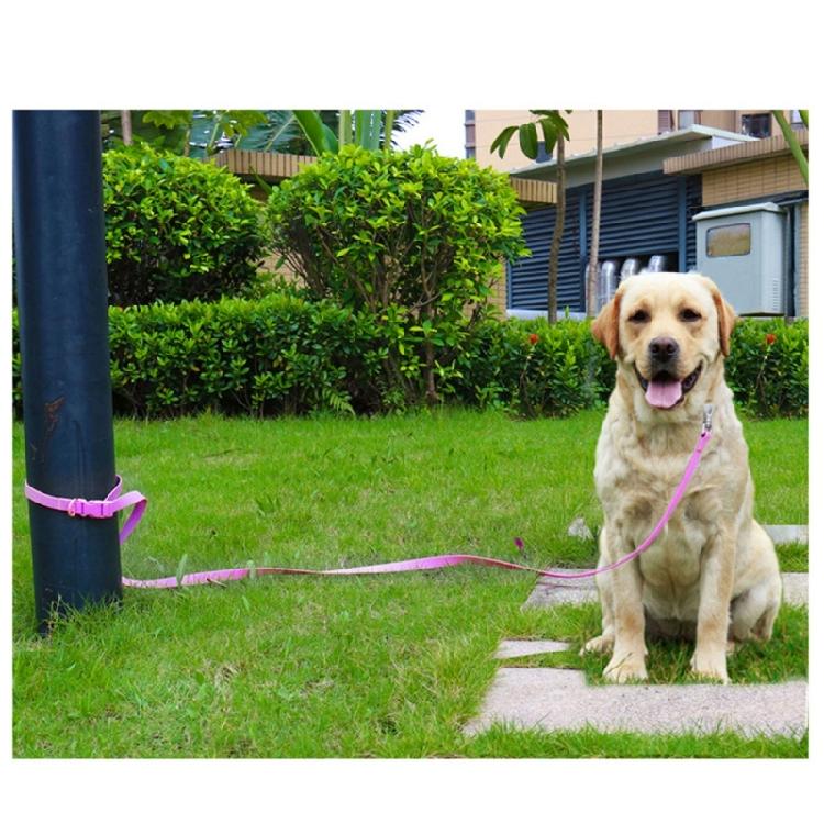 Dogs Leash Belt Large Breeds Long Leash Outdoor Walking Leash Tractions Rope