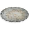 Sashimi Round Glass White Sairan J-kitchens Plate, Large, Plate, Gold, 25cm,