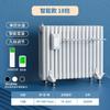 Yangtze Steel Water-Filled Electric Radiator