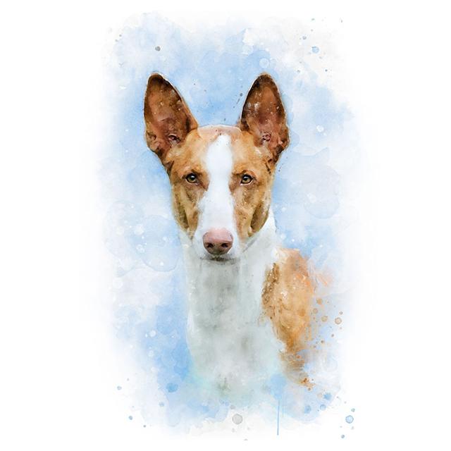 Aquarell Tiere Niedlicher Hund Bunter Druck Poster Leinwand Malerei Hd Modern Wandkunst Bild Für Wohnzimmer Schlafzimmer Heimdekor