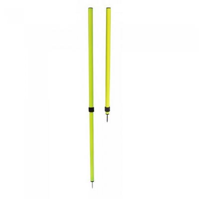 Carta Sport Telescopic Agility Slalom Poles