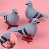 Pigeon Pigeon Model Pigeon Clockwork Toys Artificial Feather Figurine Animal Model Wind Up Toys