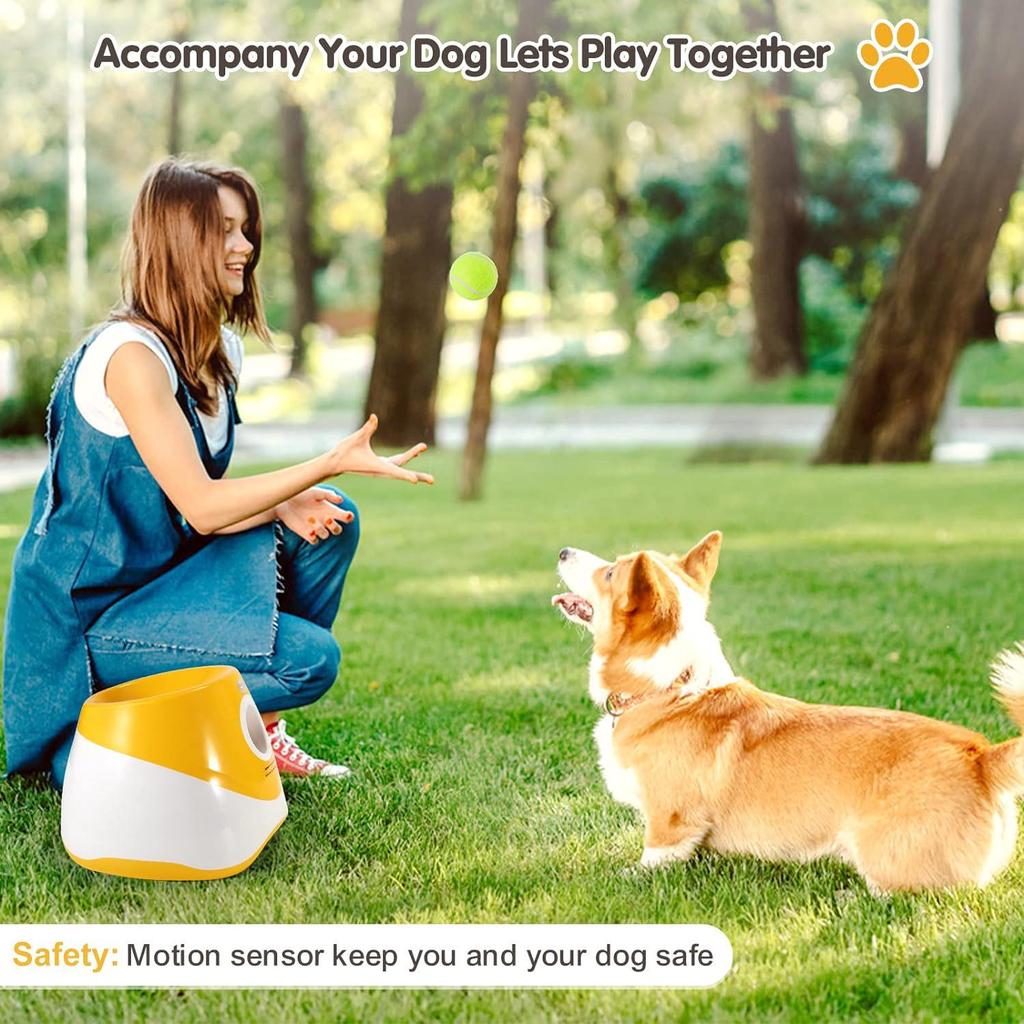 Automatic Dog Tennis Launcher and Walking Companion