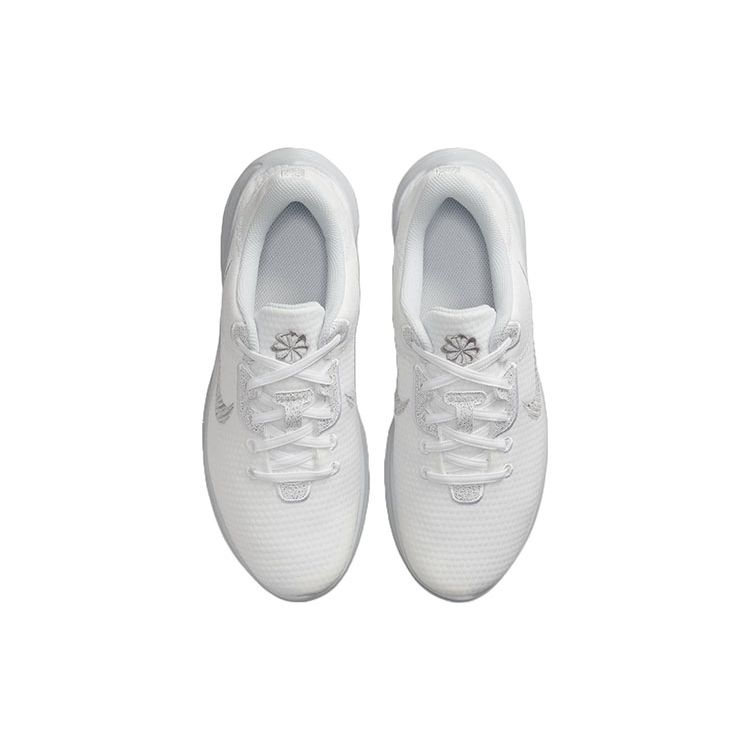 Nike Flex Experience Run 11 Wide White Metallic Silver Women Sneakers Pure-Platinum DH8254-100