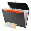 2026 New File Organizer, 13-Pocket Expanding Folder Accordian Folder Great for Home, Office, Travel & Classroom