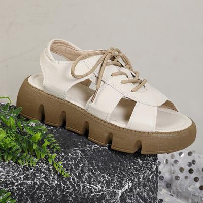 Foreign Trade Sandals Women's Summer Models 2025 New Muffin Thick-soled Fashionable Foreign Style Light and Versatile High-end Beach Shoes