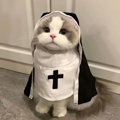 Nonnenkostüm für Katze & Hund - Atmungsaktive Lustige Haustierkleidung, Kleine Mittlere Größe Cosplay Foto-Requisiten Viral TikTok Instagram