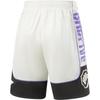 Li-Ning Badfive Color Block Letter Sports Breathable Quick-Dry Casual Shorts Men Shorts Off-White Obsidian-Gray AAPU021-1