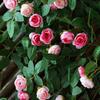 54/60 Heads Fake Rose Flowers Vine Real Touch Decoration Bouquet Artificial Flower  Balcony Decor