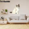Tri koshki RC035 Anime Dog Ragdoll Sticker Waterproof PVC Decoration Door Living Room Kids Room
