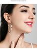 Sterling Silver Big Hoop Earrings for Women - High-End Fashion Circle Dangle Style