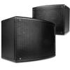 LINGSHENG Professional KTV & Commercial Wall Speaker