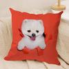 Cute Naughty Cats Dogs Cushion Cover Soft Plush DoubleSided Printed Sofa Pillow Cushion Cover  AllSeason Durable Decor Gift