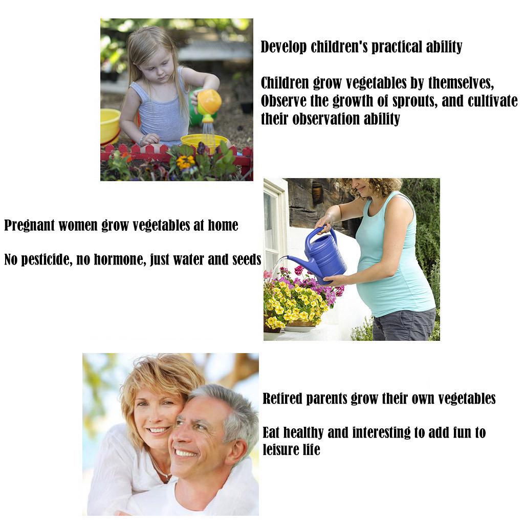 Hydroponic Home Gardening System Seedling Tray Double-layer Soilless Cultivation