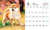 Shiba Inu Weather mini (Impress Calendar 2022)
