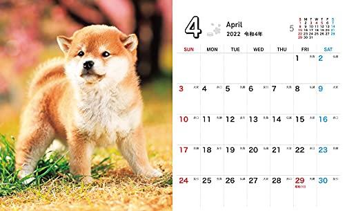 Shiba Inu Weather Mini (Impress Calendar 2022)