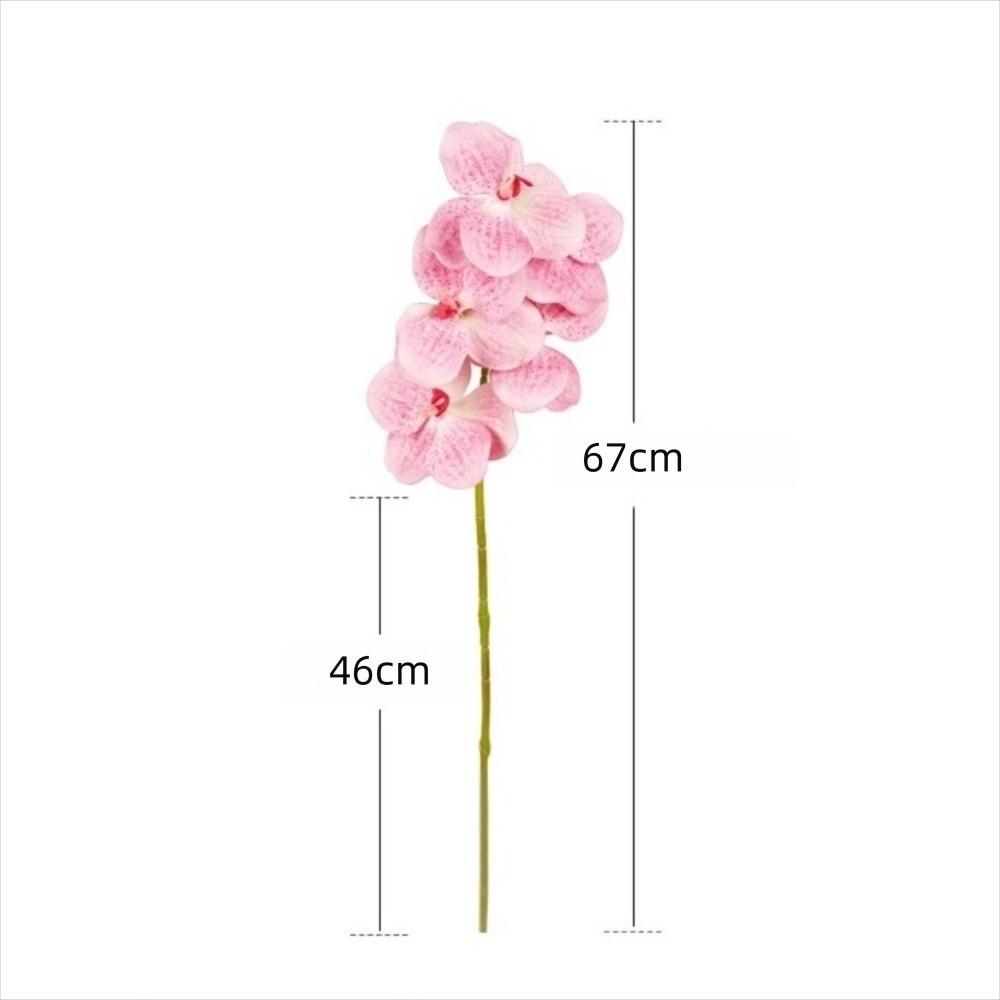 5 Heads Artificial Orchid Real Touch Multi Color Fake Phalaenopsis Flower Iron Wire Inner Lining 67cm Silk Flower