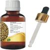 Levenmooi Ajwain (Trachyspermum ammi) Pure & Natural Therapeutic Grade Essential Oil Glass