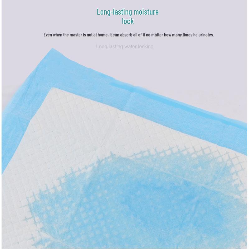 Economy Absorbent Pet Training Pads for Dogs and Cats - Disposable Urine Pads & Pet Diapers