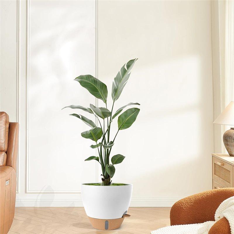 M-Modern-Large Plastic Plant Pots Self-Watering Flower Pots,12/10/9/8 Inch Indoor Outdoor With Drainage Holes, Deep Reservoir