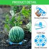 Gardening Melon And Fruit Tray, Household Watermelon Tray,Garden Fruit Anti- Rotting Bracket,Plastic Stable Tray, Watermelon