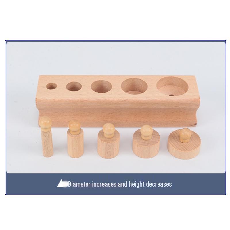 Montessori Holzsteckdosenzylinder Lernspielzeug für die frühe Kindheit und den Kindergarten