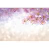 Frühlingsrosa Blumen Hintergrund Glitzer Licht Bokeh Floral Kirschblüte Neugeborenes Baby Porträt Fotografie Hintergrund Fotostudio