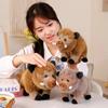 Soft Pillows Mountain Pig Doll Stuffed Animals Eurasian Wild Boar Doll  Babys Toys