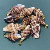 10Pcs Natural Ribbed Conch Shell Charms 13×25~19×37mm Seashell Pendants With Gold Bail Beach DIY Jewelry