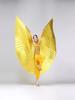 Kids' Gold Belly Dance Wings Costume - Performance Prop Cape